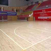 富顺县文体中心篮球场